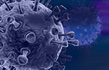 Imagen de coronavirus