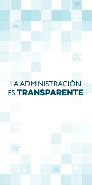 Banner Vertical Campaña de Comunicación Inclusiva del Gobierno Abierto