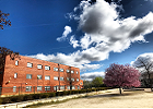 IES Valdebernardo