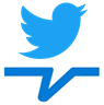 Icona Twitter