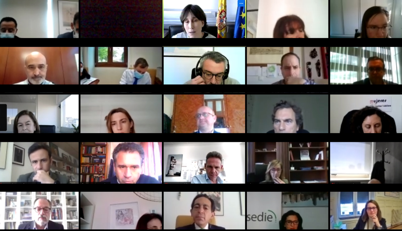 Foto de la reunión del 19/01/2021