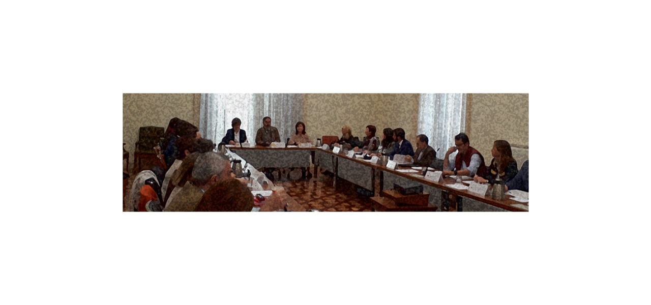 Imagen reunión Comisión sectorial