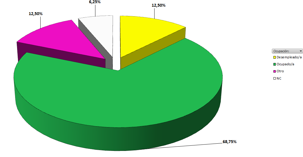 porcentajes de participantes por ocupación