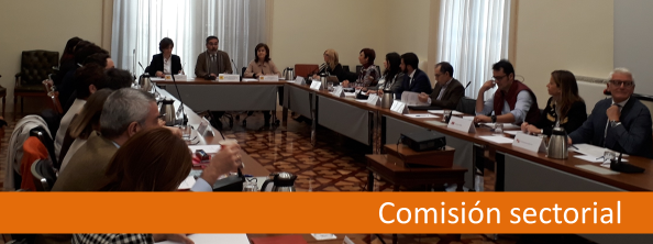 Foto de reunión de 26/02/2020 con texto: "Comisión Sectorial"