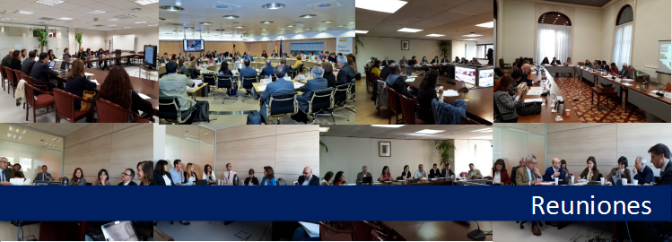 Collage de fotos de reuniones del Foro de Gobierno Abierto